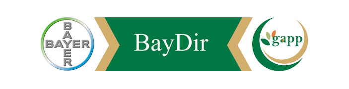 BayDir